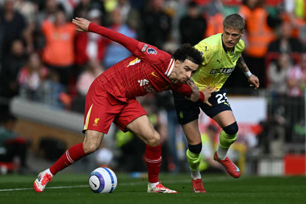 我们期待郑 我们期待郑